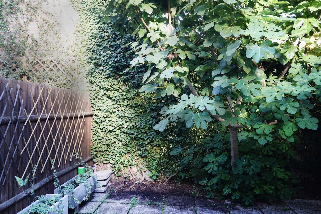 La Maisonette Et Son Jardin 威尼斯 外观 照片